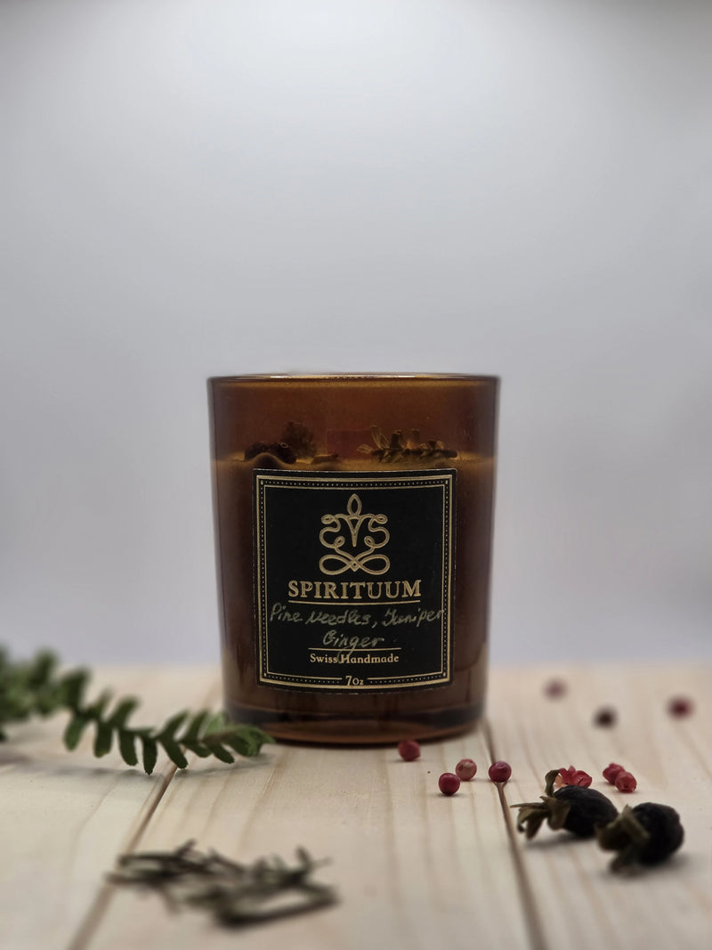 Silva Aeterna – Pine Needles, Juniper & Ginger Candle | 7 oz